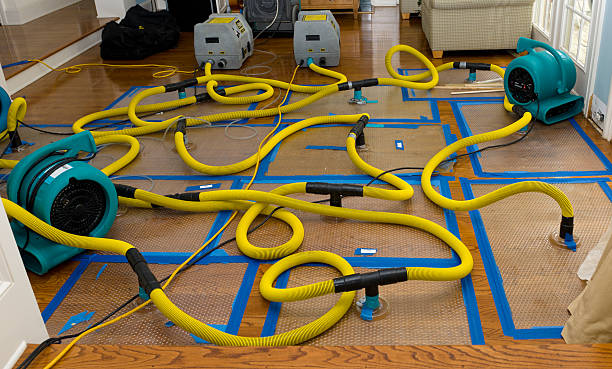 Professional Emergency Water Removal technician working in Pella, IA